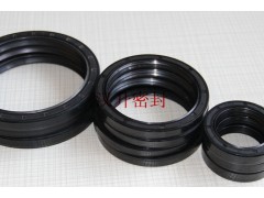 TC骨架油封耐油 耐磨 耐高温氟胶油