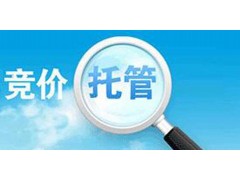 竞价账户托管服务费是多少？竞价推