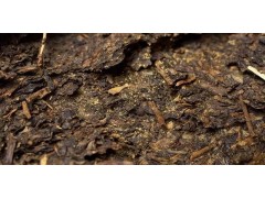 喝了安化黑茶也不瘦?原因在这里