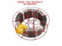 原装进口德国卡斯特林EnDOTec DO*05