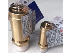 弹簧式安全泄压阀A28X-16T螺杆式空