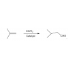 氢甲酰化异相铑催化剂