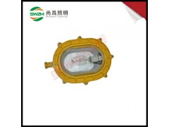 防爆泛光灯SW8100_厂家尚为SW8100价