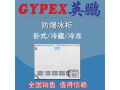 广安防爆冰柜 达州防爆冰柜BL-200WS100L