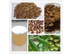 益智仁提取物  昌岳生物现货包邮  