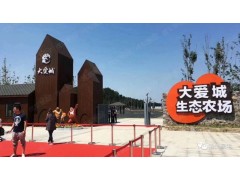 崇明岛大爱城究竟怎么样？崇明岛未来发展又如何？