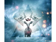 看透人性，赢得市场