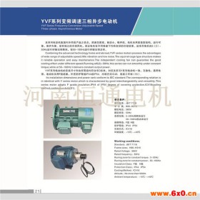 供应 YP50-0.18-2变频电机加装抱闸电机 YP-50-0.25-2 YP-50-0.37-2变频刹车电机