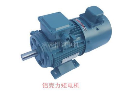 千业牌 YLJ160-100-6力矩电机 非标轴 不锈钢轴变频电机 质量可靠