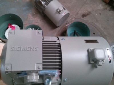 Siemens原装西门子电机200KW三相变