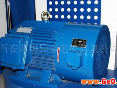 西安泰富西玛YJTG132M2-6 5.5KW 380V变频电机水泵专用