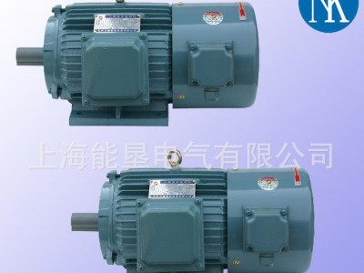 直销YVP250M-2 55KW变频调速专用三相异步电机