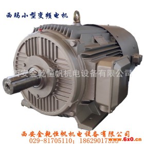 西安西玛小型变频电机YVF2,YVFE2-315M-10 55KW 5-70Hz