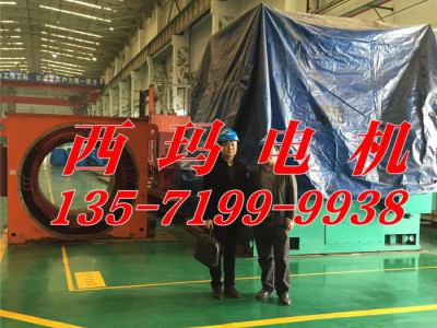 西安泰富西玛电机YVF6303-8 1120KW 