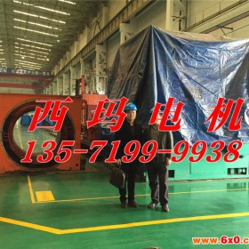 西安泰富西玛电机YVF6303-8 1120KW 6KV变频调速高压三相异步电机