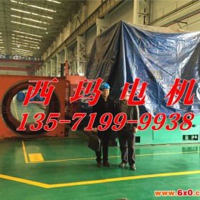 西安泰富西玛电机YVF6303-8 1120KW 6KV变频调速高压三相异步电机