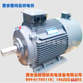 西安西玛小型变频电机YVF2,YVFE2-315L-4A 185KW，5-70Hz