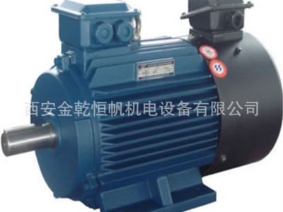 西安泰富西玛变频电机YVF2,YVFE2-22