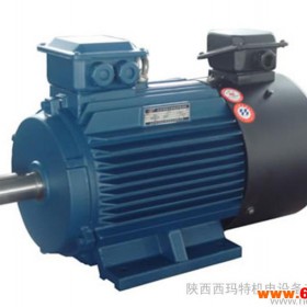 西玛牌 YVFE2-250M-2A 55KW 5~50Hz IP54 380V 变频调速电机 西玛电机