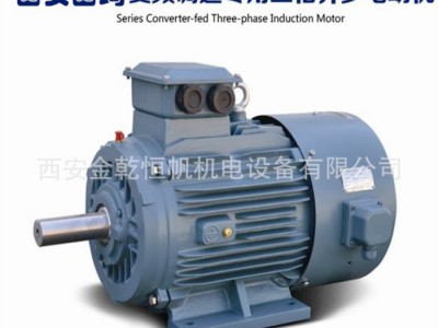 西安西玛小型变频电机YVF2,YVFE2-90