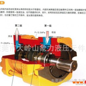 东莞齿轮泵 内啮合齿轮泵 齿轮油泵 专业生产高压齿轮泵