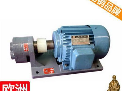 s型微型齿轮输油泵 s-10微型齿轮式输油泵 S秦