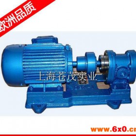 齿轮泵生产厂家 齿轮泵总厂 KCB633-2不锈钢 促销
