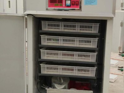 弘盛厂家直销大中小型全自动孵化器704枚孵化机微电脑智能孵化箱设备一件起批