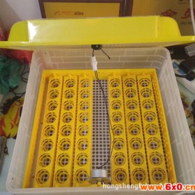 48枚迷你孵化机全自动家用型鸡鸭鹅孵化器小型96枚孵蛋器孵化设备