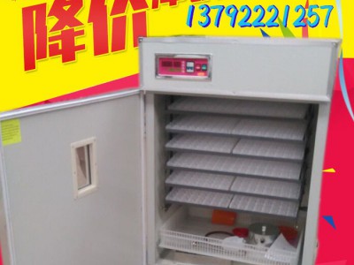 买528/1056枚全自动孵化机小鸡孵化