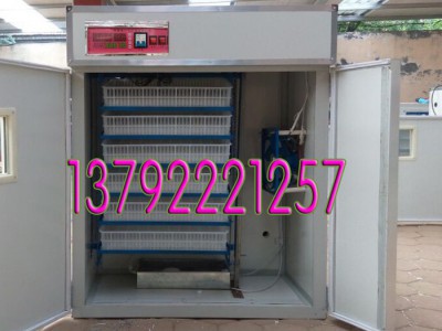 全自动孵化机528枚1056孵化器弘盛鸡鸭鹅三用小型孵蛋器孵化设备 畜禽饲养机械
