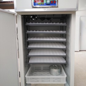 528枚全自动孵化机孵化器家用小型孵蛋器孵化设备 直销