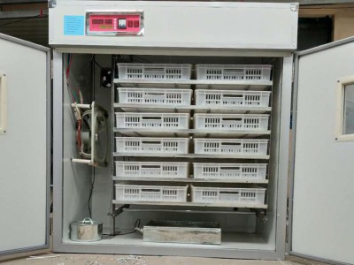 大中小型1056枚三用全自动孵化机鸡