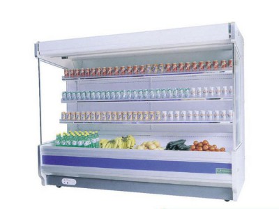 水果蔬菜冷冻风幕柜（豪华型） 立式