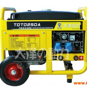 大泽动力250A汽油发电电焊机TOTO250A