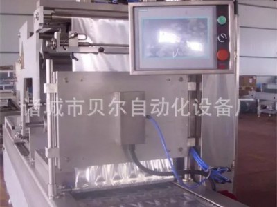 休闲食品真空包装设备厂家直销--山