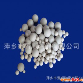 高铝陶瓷填料瓷球　惰性氧化铝瓷球 化工陶瓷 传质设备填料