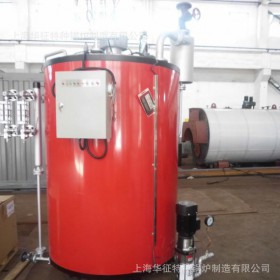 制药机械洗涤设备服装机械染整用200公斤蒸汽燃气锅炉