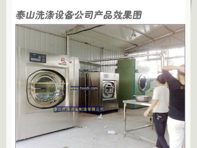 泰山全自动半自动洗涤机械设备 纺织机械设备 洗涤机械