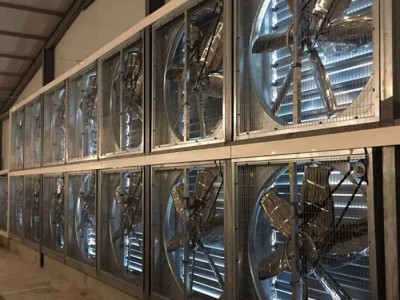 【双龙牧业】风机采购 养殖风机 优质风机 养鸡专用风机