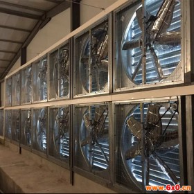 【双龙牧业】风机采购 养殖风机 优质风机 养鸡专用风机