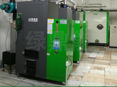 绿鼎能200KG 生物质锅炉 生物质蒸汽