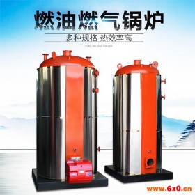 泰安燃油燃气工业锅炉厂