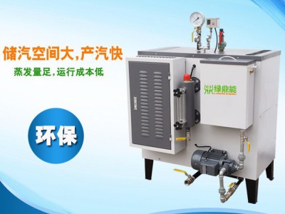 绿鼎能72KW桥梁养护专用电加热蒸汽发生器 小型电加热蒸汽锅炉 工业锅炉