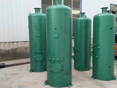 实用好用 工业锅炉厂家 泰安全兴供