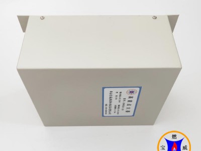 宝威燃控BWGD-12 DC24V 高能点火器 工业锅炉点火器