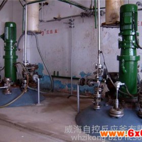 威海自控厂家供应 反应设备 反应釜    10l不锈钢高压反应釜