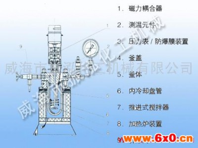 供应反应设备-反应釜，威海实验室反应釜，振泓反应釜