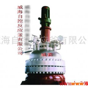 威海自控供应    生产用反应釜  反应设备 高压反应釜
