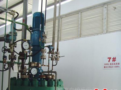 供应 化工机械 高压釜 反应设备 磁力密封反应釜